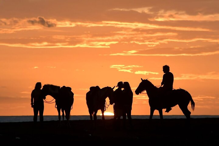 Horseback Riding in Puerto Carrillo: Beach & Jungle - Photo 1 of 6